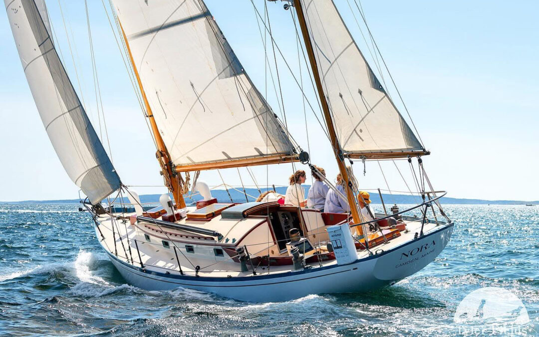 Late Summer Boatyard News
